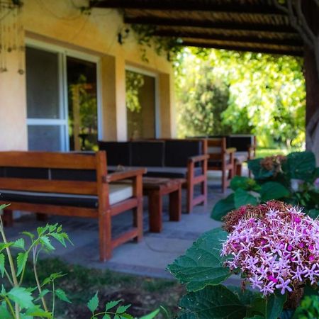Finca Del Rio - Casa De Campo Tunuyán Екстериор снимка